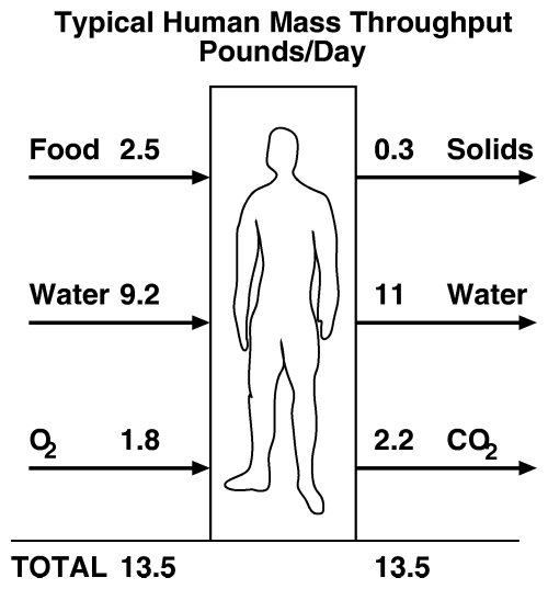 human body diagram. Diagrams Of Human Body. simply