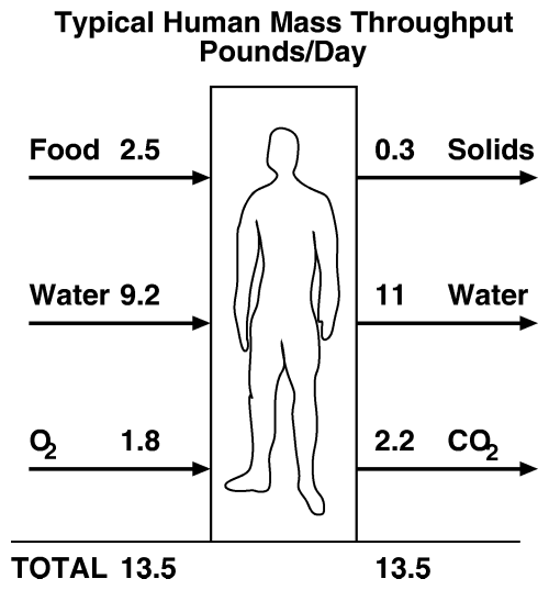 diagrams of human body. simply that the human body