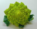 Fractal Food: Romanesco