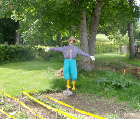Scarecrow in Lignières, Switzerland