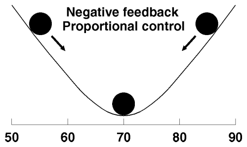 Negative Feedback Chart