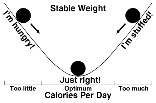 Negative Feedback Chart