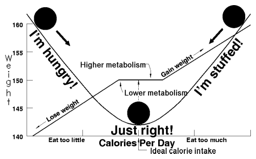 Weight Loss Chart Calories Per Day