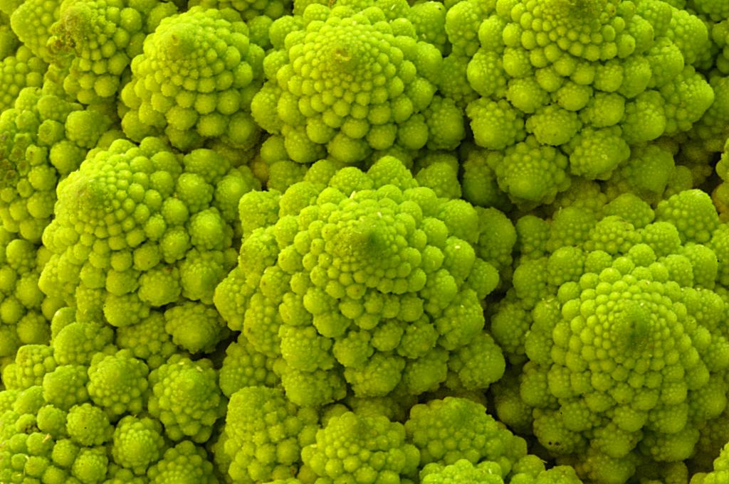 Brócolis Romanesco