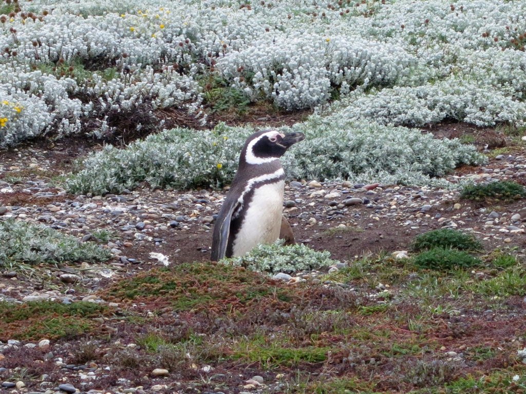 ANTarctica 2013 gallery image L055.jpg