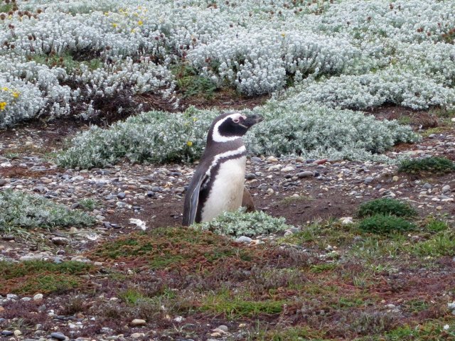 ANTarctica 2013 gallery image S055.jpg