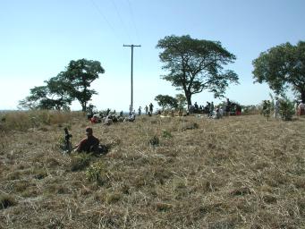 Observing site at Pioneer Camp